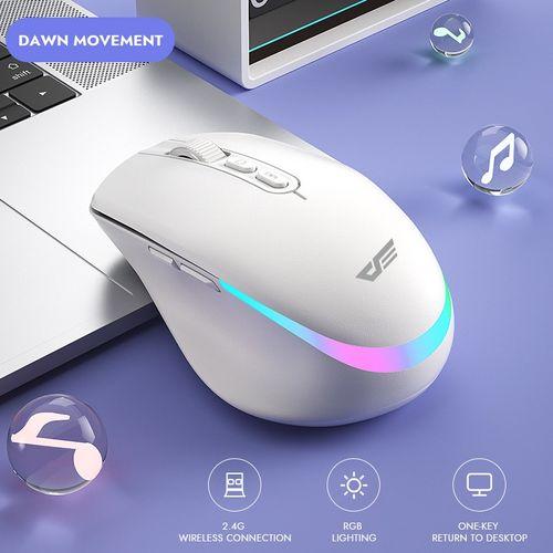 DFM600 RGB Lighting Mouse