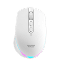 DFM600 RGB Lighting Mouse