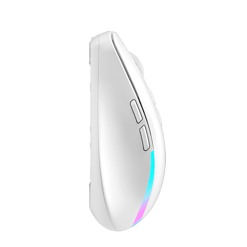 DFM600 RGB Lighting Mouse