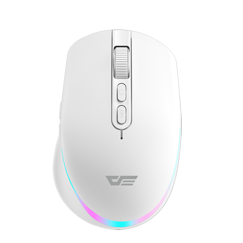 DFM600 RGB Lighting Mouse