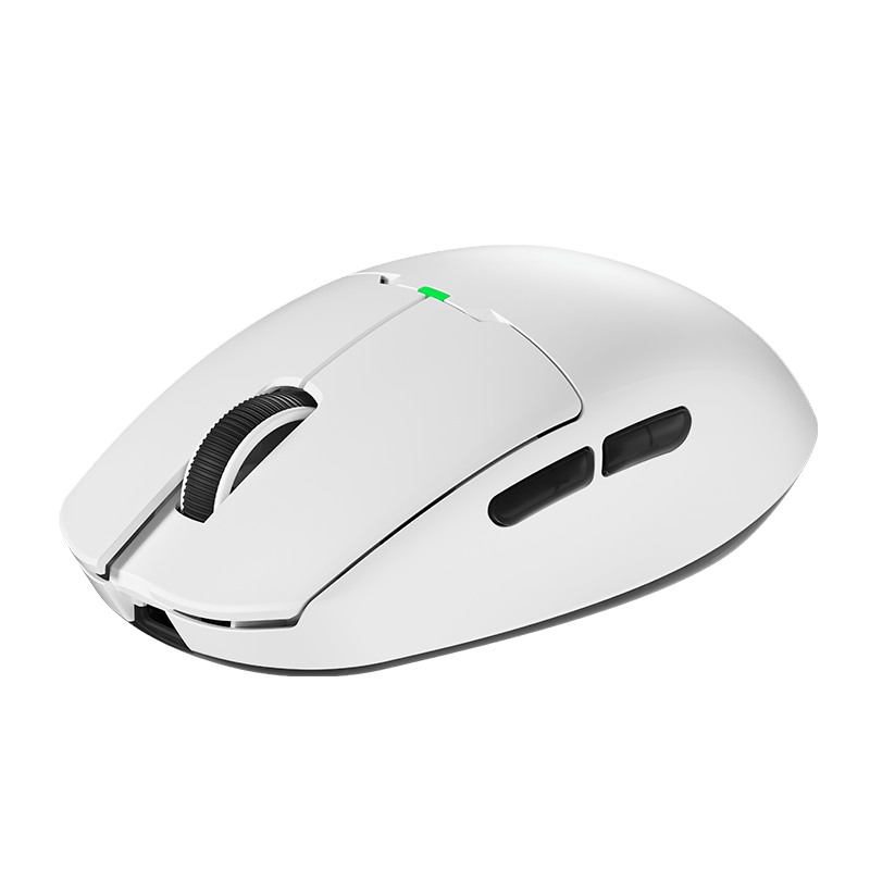 DFM80 Gaming Mouse